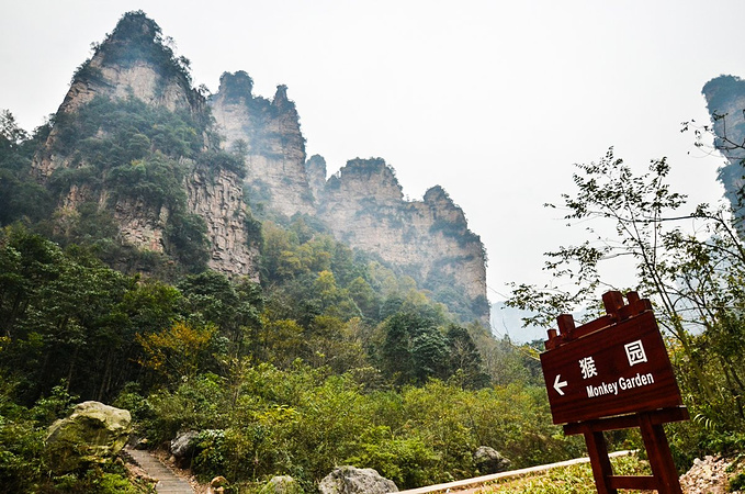 天子山风景区图片