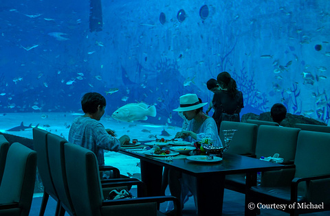 上海海昌海洋公园度假酒店·极地餐厅旅游景点攻略图