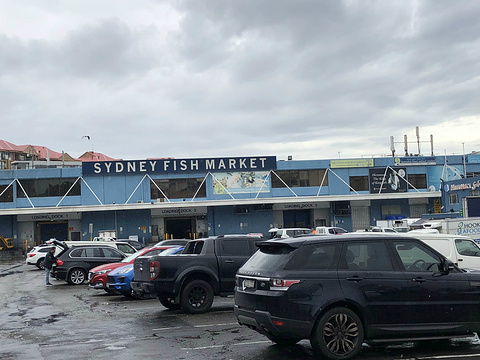 悉尼鱼市场旅游景点攻略图