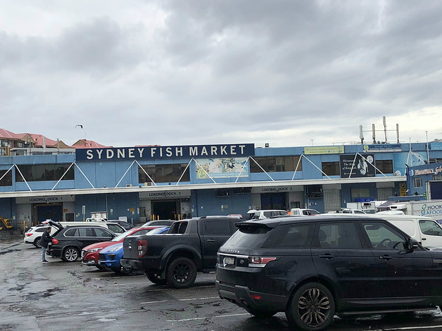 "在旁边的餐馆点了一顿海鲜大餐做Brunch。配上刚刚买的新鲜的生蚝和生鱼片澳洲的水果不算便宜_悉尼鱼市场"的评论图片
