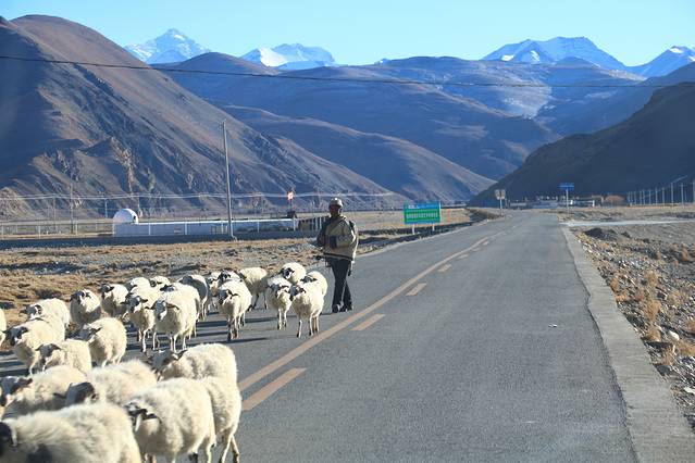 318国道5000km纪念碑