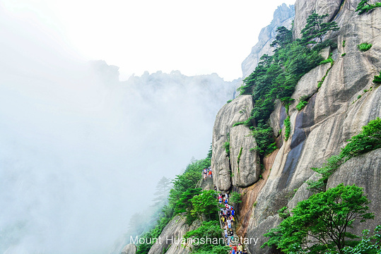 天海旅游景点图片