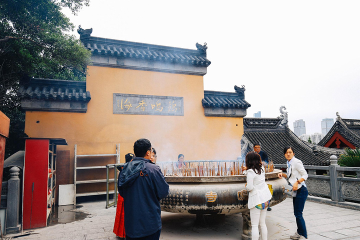 "山顶有一个出口，可以直接通往台城，但我们爬上来的时候哪里都没有参观，小伙伴想原路返回仔细的参观一下_鸡鸣寺"的评论图片