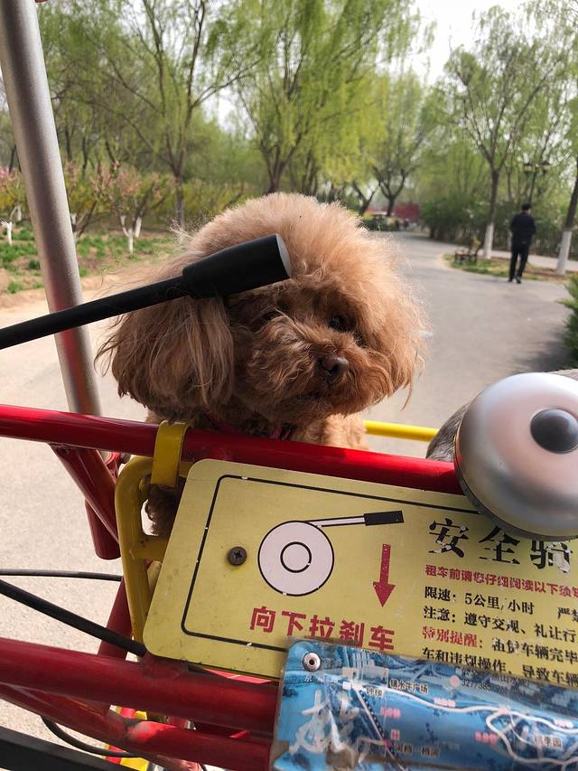 永定河休闲森林公园