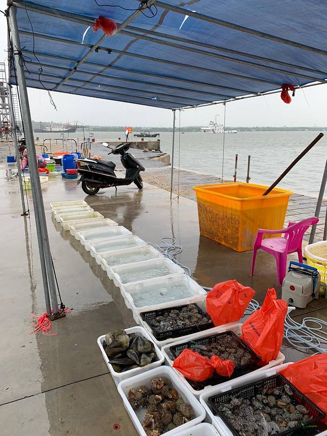 文昌清澜港环球码头