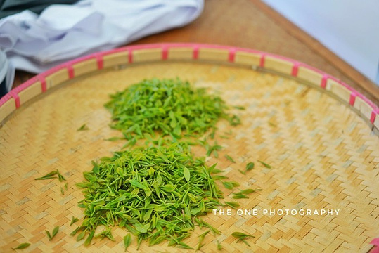 黄龙岘金陵茶文化旅游村旅游景点图片