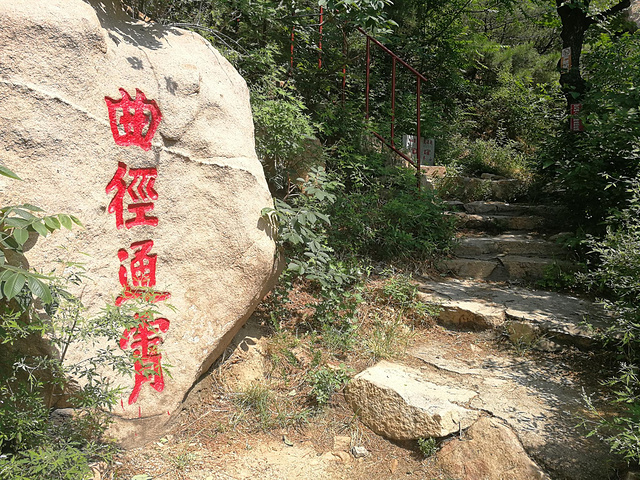 "【小提示】碣石山不高但非常险峻，夏日登山建议带2瓶水，山上多为岩石少高大树木，注意防晒_碣石山景区"的评论图片