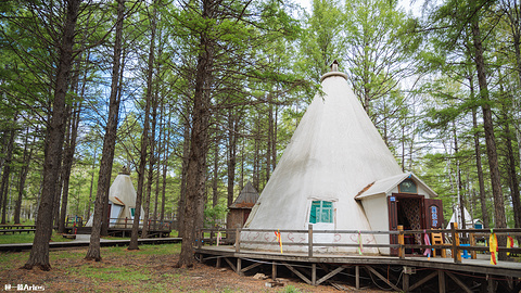 敖鲁古雅原始驯鹿部落