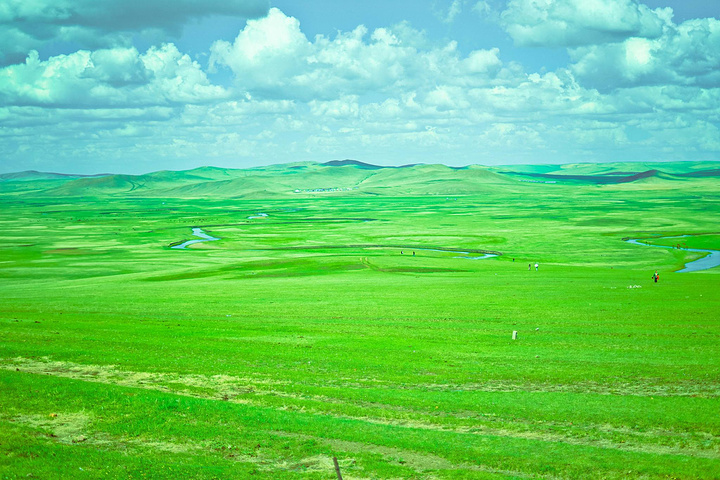 草原最美的景色的图片图片