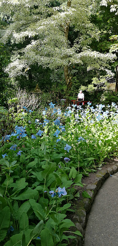 "花园有不少独具的色的纪念品不容错过，本身女生就对花花香的唇膏护手霜指甲油小香皂没有抵抗力，何况..._布查德花园"的评论图片