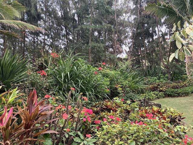 富力红树湾湿地公园