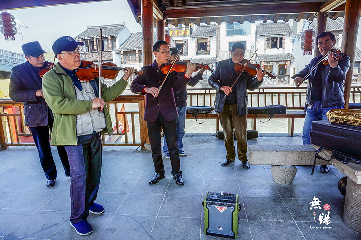 "从小生活在江南的孩子，对这样的风景已经习以为常了。遇到了一群特别的小提琴手。不如，走慢一点，再慢一点_南长街"的评论图片