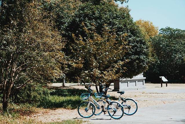 下马坊遗址公园