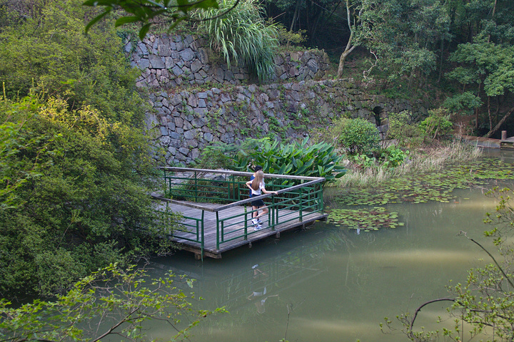 2024莫干山游玩攻略,莫干山交通/住宿/行程/美食/购物攻略,莫干山注意