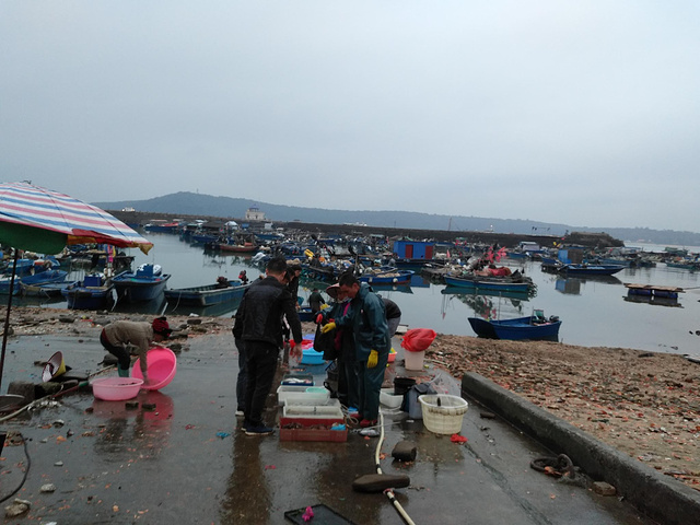 "海鲜的价格跟柳州差不多，就是胜在比较新鲜。在码头的地摊买了一些海鲜，到旁边的店里加工_南湾码头"的评论图片