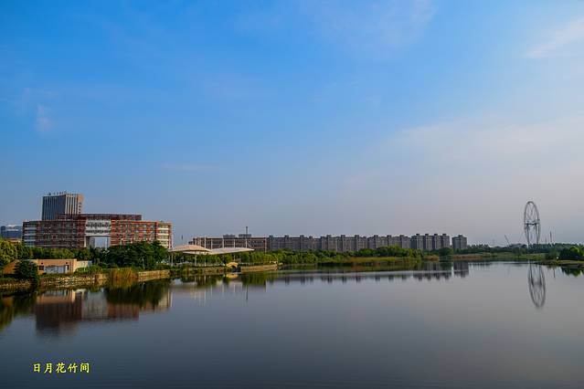 芦花荡湿地公园