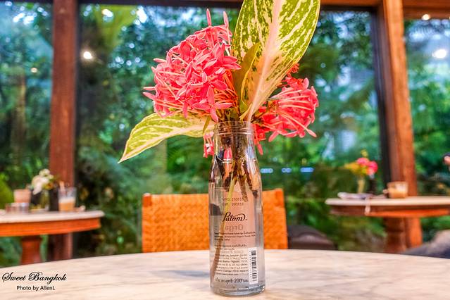 Patom Organic Living