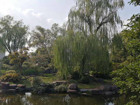 宁波园林博物馆旅游景点图片