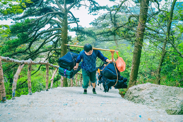 "...，这些远看似古堡魏立的天柱山岩石，在西关群峰垂直节理中非常发育，形成了横看成岭侧成峰的美丽景致_天柱山"的评论图片