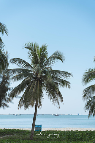 "这一段路的海边种满椰林，营造出大海、沙滩、椰林的美景，而路的另一侧则是众多的酒店、民居等等_椰梦长廊"的评论图片