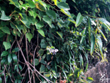 三沙旅游景点攻略图片