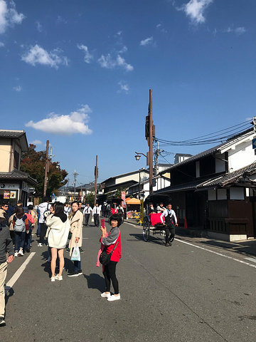 "岚山的范围其实很大，路牌上面的天龙寺和常寂光寺，景色都非常美，然而我们跟团的行程里不去。景区介绍_岚山嵯峨野观光小火车"的评论图片