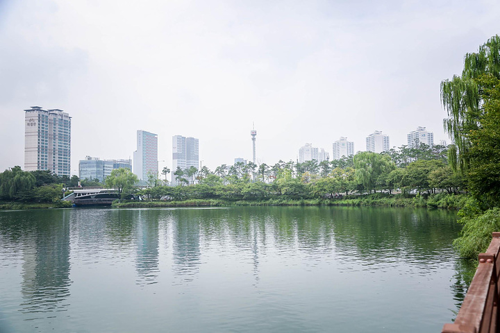 松坡公园图片