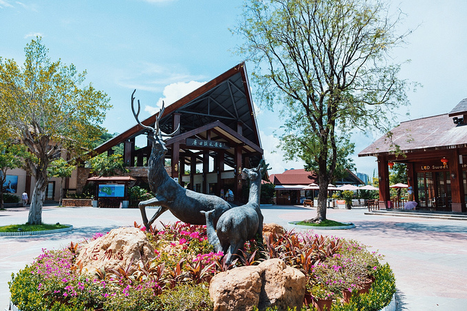 海南人均gdp 2019年_2020海南gdp统计图(2)