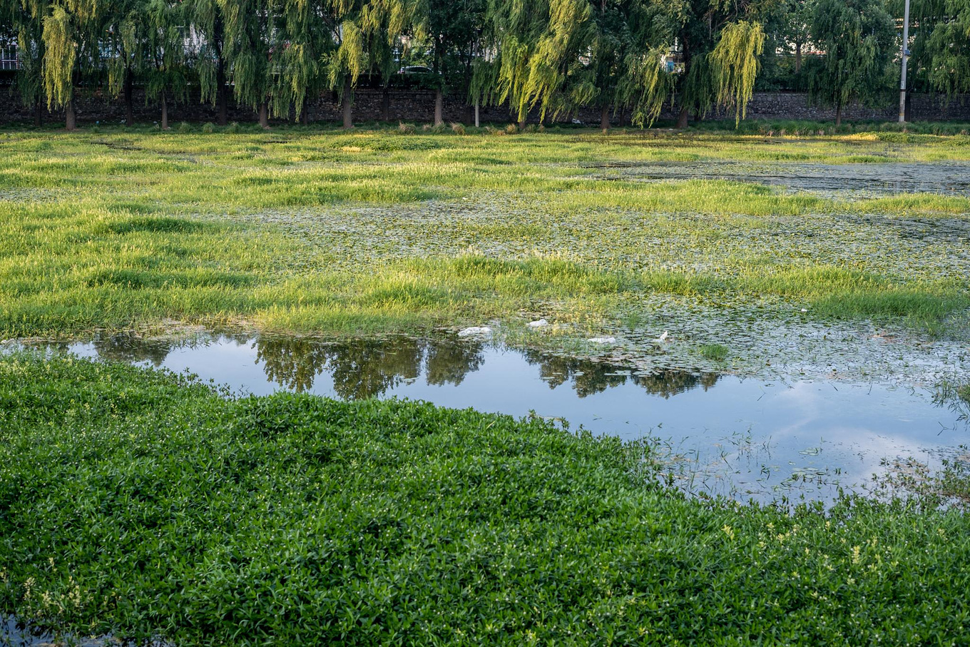 张夏土门村图片