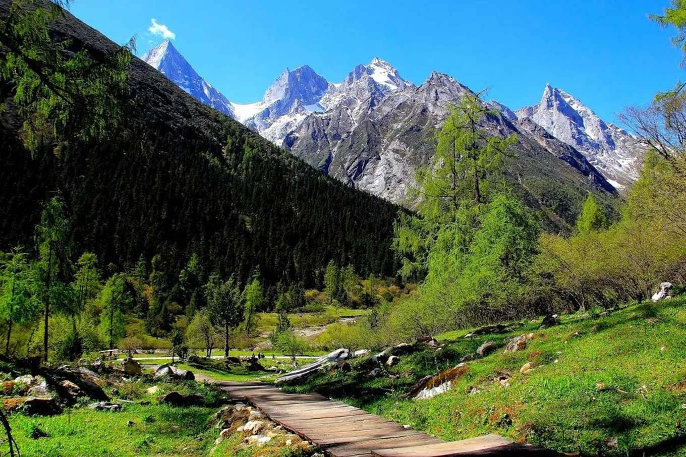 亲测线路最新夏季川西旅行交通攻略小瑞士毕棚沟的14夏季