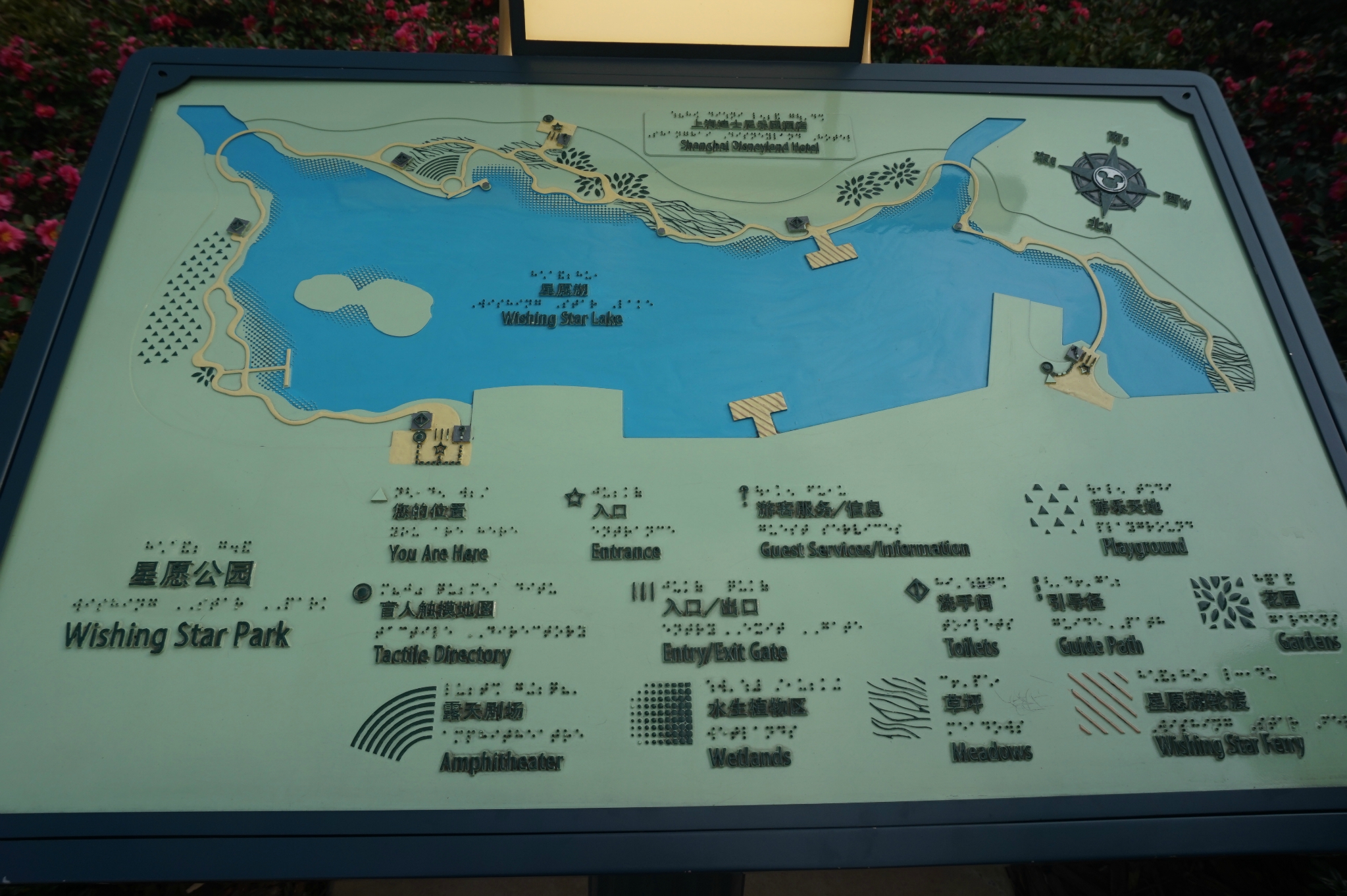 2020星愿公园-旅游攻略-门票-地址-问答-游记点评,上海迪士尼度假区