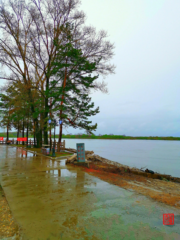 "_兴凯湖湿地公园"的评论图片