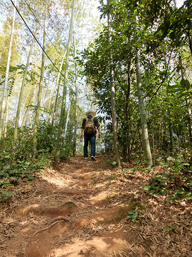 高椅岭旅游区旅游景点攻略图