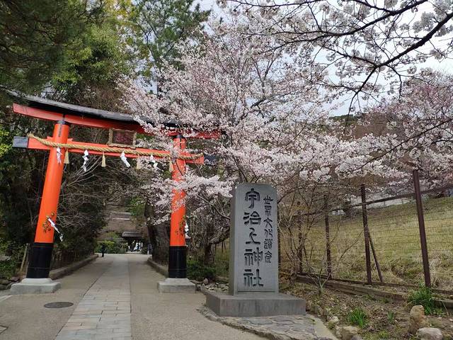宇治上神社