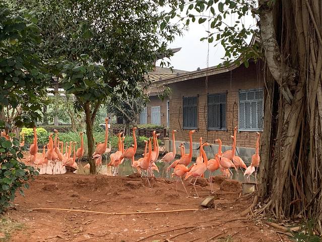 富力红树湾湿地公园