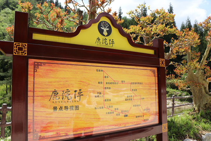 1个小时就到了鹿院坪一到门口我就感觉这里比恩施大峡谷景色要好很多