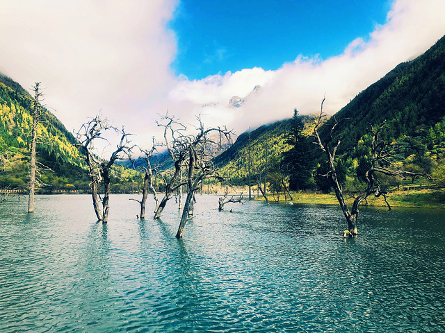 "但每条沟又有不同的风景特色：双桥沟以观光游见长，海子沟以探险游著称，长坪沟主要是生态游，都值得..._四姑娘山"的评论图片