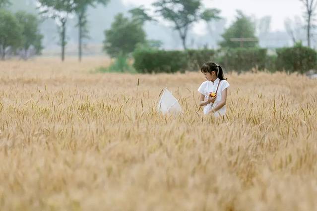 周庄香村·祁庄·禾风里餐厅