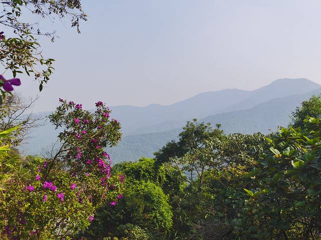 皂幕山旅游风景区