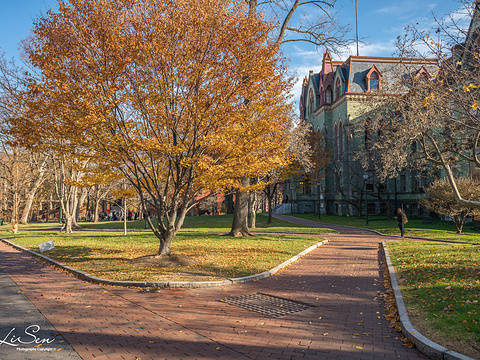 宾夕法尼亚大学旅游景点图片