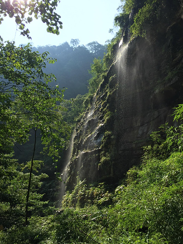 " 峡谷里面自然风光很美，还有很多的瀑布，走在里面很凉爽。走走路，出出汗，特别畅快。喜欢青翠的竹林_碧峰峡"的评论图片
