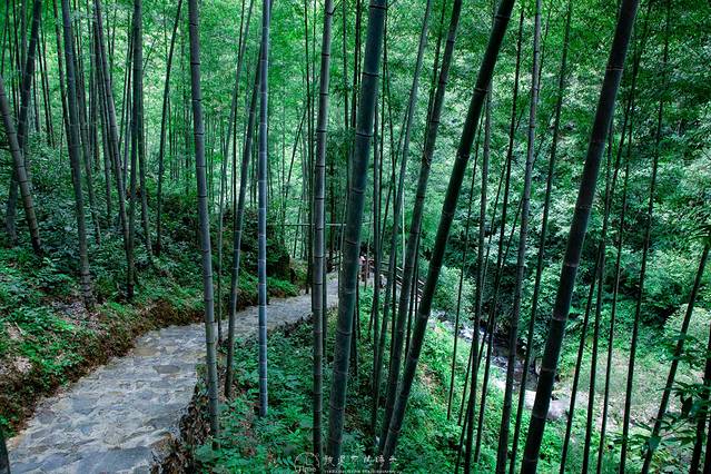 黄沙秘境大峡谷景区