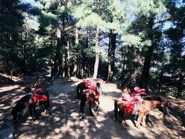 大理古城-苍山门