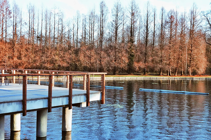 "黑维兹小镇的温泉湖是世界上唯一的天然温泉湖。参观完黑维兹温泉湖水，我们来到了斐奇丹迪士庄园参观外观_黑维兹温泉疗养湖"的评论图片