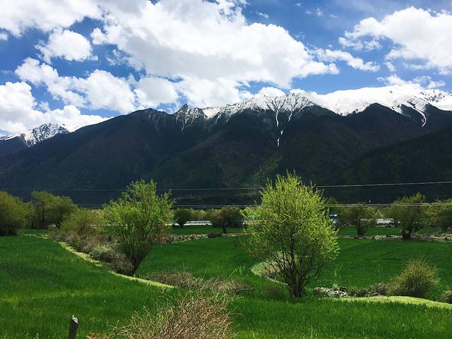 尼洋河风光带景区