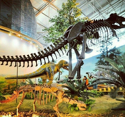 "...公里处，黑龙江右岸，因埋藏着丰富的恐龙化石而得名“龙骨山”，是我国最早发现并出土恐龙化石的地方_嘉荫恐龙国家地质公园"的评论图片
