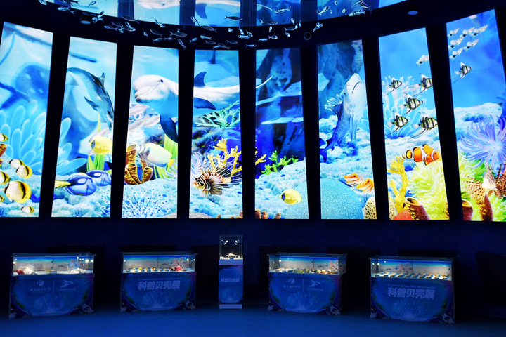 "往里走墙上两幅3D画面吸引了我的注意，莫非鲨鱼要来咬我了这里同样也是有海洋珍宝纪念品店的_上海海昌海洋公园"的评论图片