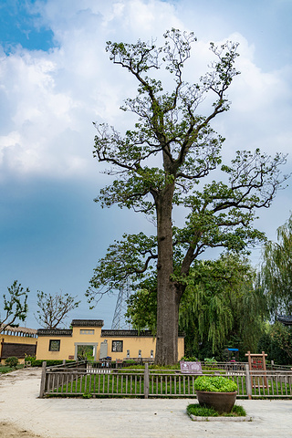村庄内有保存完好的千年梓树,百年榉树,宋代古井以及清代李潮生故居