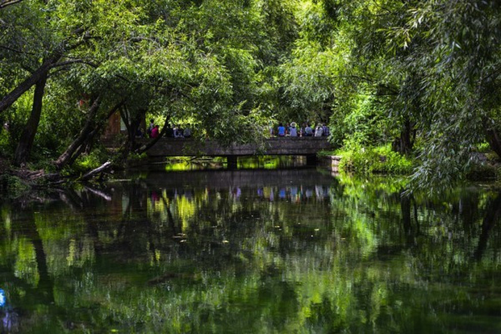 "束河古镇，树还是那样绿，水还是这般清，足矣。讲起四年前在这里的很多故事，_束河古镇"的评论图片
