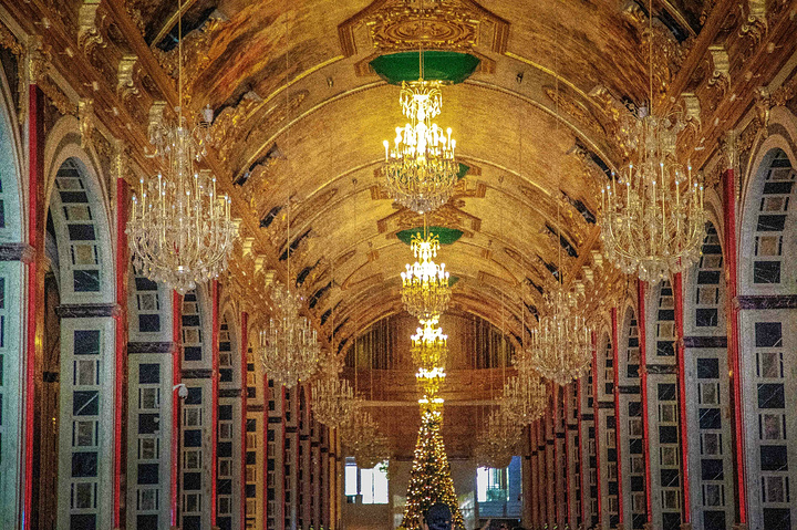 造型奇特·美丽之冠·艺术长廊